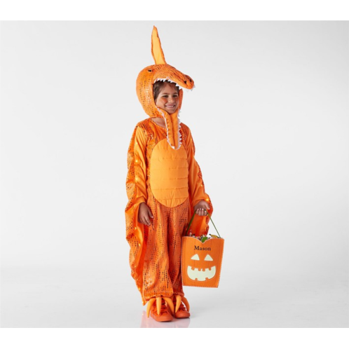 Potterybarn Kids Light Up Pterodactyl Dinosaur Costume