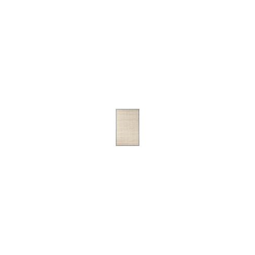 Potterybarn Chenille Jute Striped Border Rug