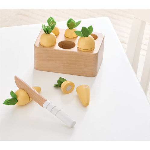 Potterybarn Easter Wooden Carrot Garden