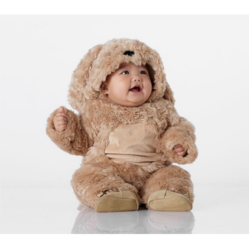 Potterybarn Baby Labradoodle Dog Halloween Costume