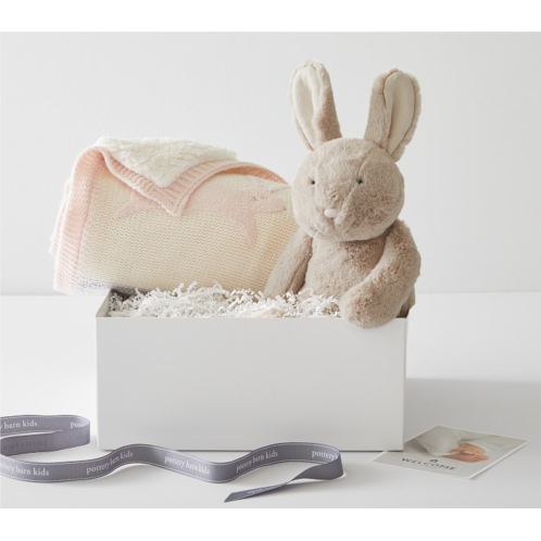 Potterybarn Heirloom Bunny Gift Set