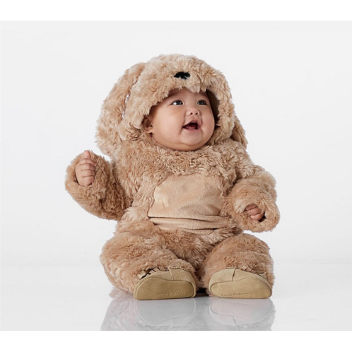 Potterybarn Baby Dog Costume