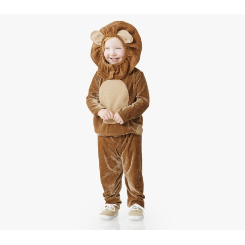Potterybarn Toddler Lion Machine Washable Costume