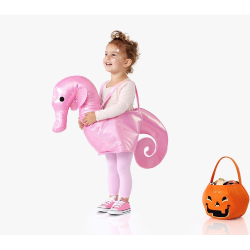 Potterybarn Shimmer Seahorse Ride-On Costume