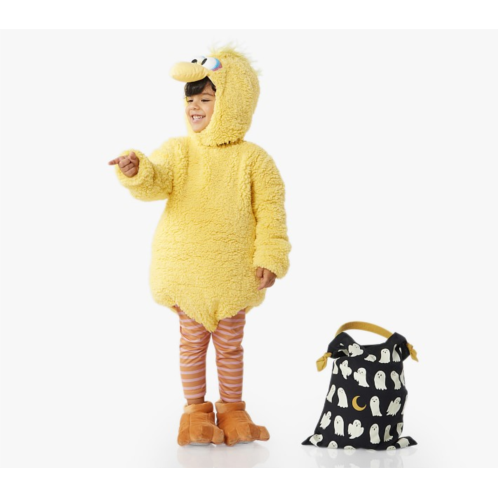 Potterybarn Sesame Street Big Bird Costume