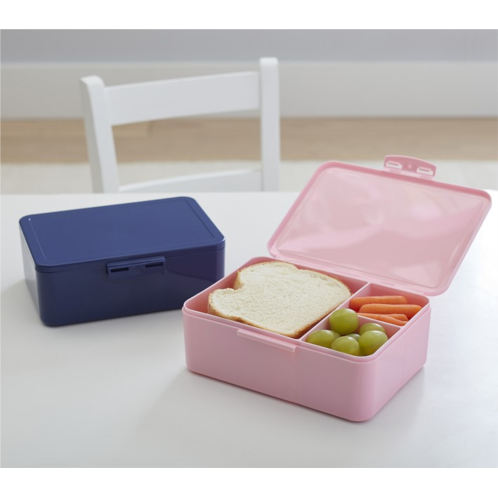 Potterybarn All-in-One Rectangle Bento Box