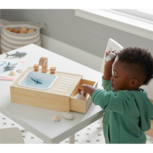 Potterybarn Water-Pouring Sink Toy