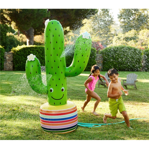Potterybarn Inflatable Cactus Sprinkler