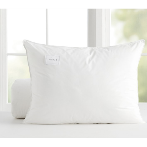 Potterybarn Eco Down Free Standard Pillow Insert