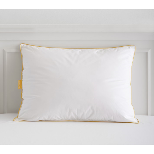 Potterybarn Simmons ZZZs Feather Fiber Standard Pillow Insert