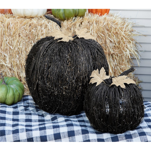 Potterybarn Black Vine Light-Up Pumpkins, Set of 2