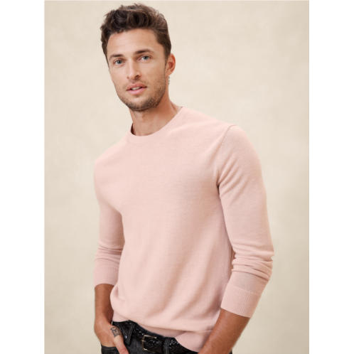 bananarepublic Merino Wool Sweater