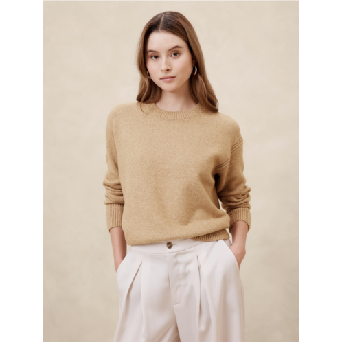 bananarepublic Cozy Shimmer Pullover Sweater