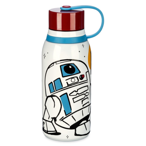 Disney R2-D2 Stainless Steel Water Bottle Star Wars