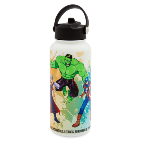 Disney The Avengers Marvel Artist Series Stainless Steel Water Bottle with Built-In Straw by Sara Pichelli
