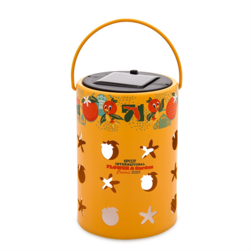Disney Orange Bird Solar Lantern EPCOT International Flower & Garden Festival 2024