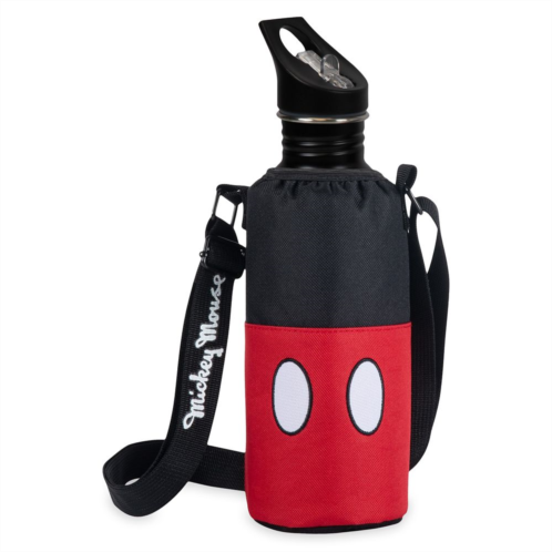 Disney Mickey Mouse Stainless Steel Water Bottle and Cooler Tote