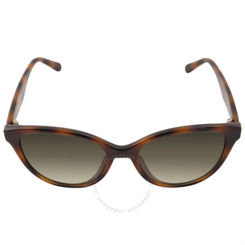 Salvatore Ferragamo Grey Gradient Butterfly Ladies Sunglasses