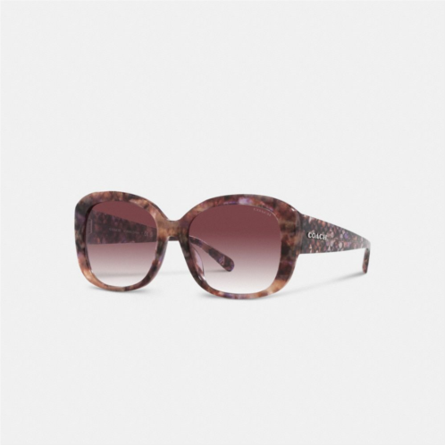 Coach Signature Oversized Square Sunglasses