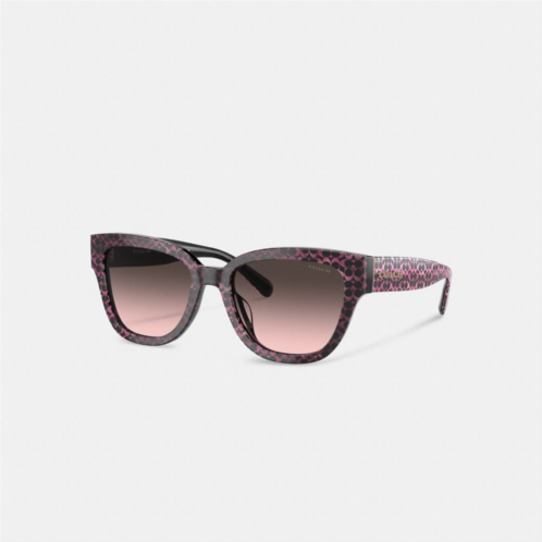 Coach Signature Round Sunglasses