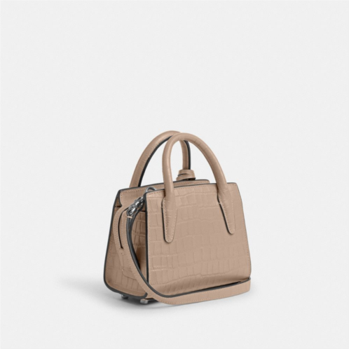 COACH Andrea Mini Carryall Bag