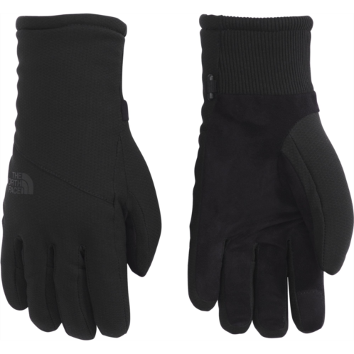The North Face Womens Shelbe Raschel Etip Gloves