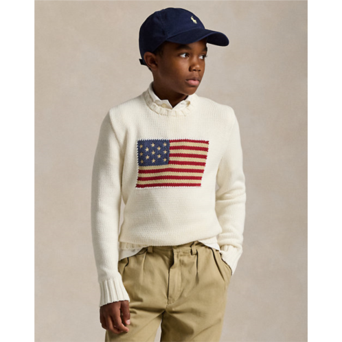 Boys 8-20 The Iconic Flag Sweater