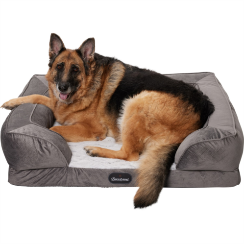 Beautyrest Extra Large Supreme Comfort Couch Dog Bed - 43x30x10”