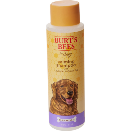 Burt  s Bees Lavender and Green Tea Calming Dog Shampoo - 16 oz.