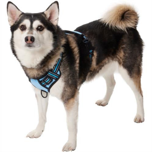 Dipperdap Adjustable Dog Harness