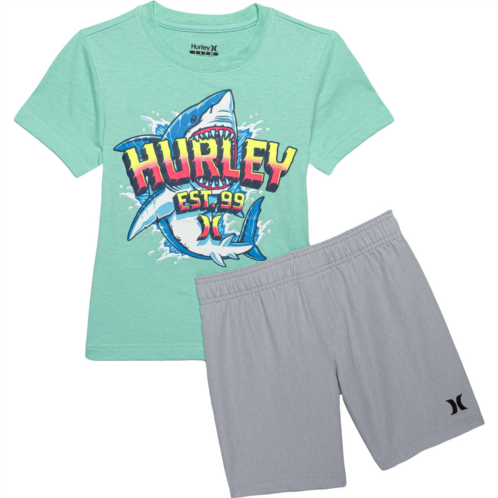 Hurley Little Boys Jersey T-Shirt and Woven Shorts Set - Short Sleeve