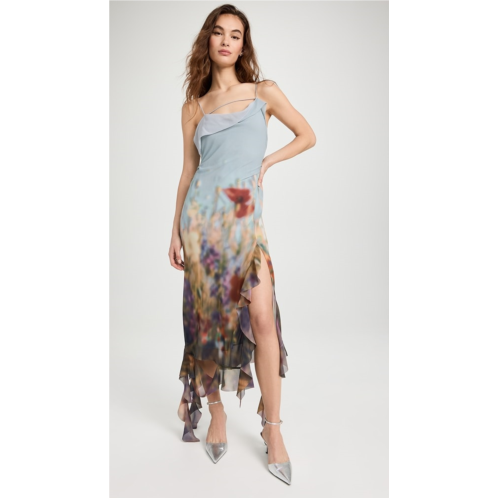 Acne Studios Blurry Meadow Chiffon Dress