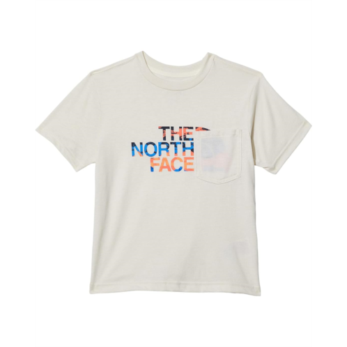 The North Face Kids Short Sleeve Tri-Blend Graphic Tee (Little Kids/Big Kids)