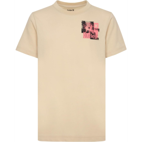 Hurley Kids Blocks Graphic T-Shirt (Little Kid)