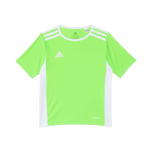 Adidas Kids Entrada 18 Jersey (Little Kids/Big Kids)