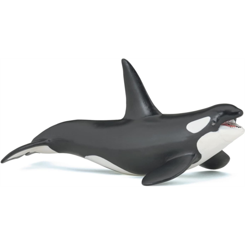 Papo - hand-painted - figurine - Marine Life - Killer Whale Figure-56000 - Collectible - For Children - Suitable for Boys and Girls - From 3 years old