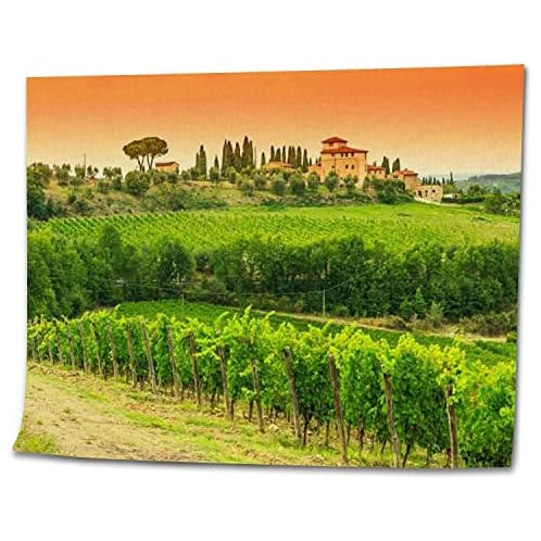 OEPWQIWEPZ Chianti Vineyard Landscape Stone House Tuscany Italy Europe DIY Digital Oil Painting Set Acrylic Oil Painting Arts Craft Paint by Number Kits for Adult Kids Beginner Chi