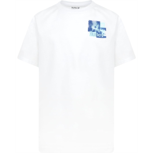 Hurley Kids Blocks Graphic T-Shirt (Little Kid)