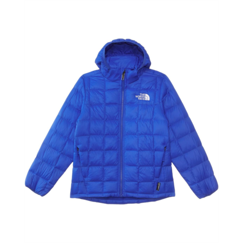 The North Face Kids ThermoBall Hooded Jacket (Little Kid/Big Kid)