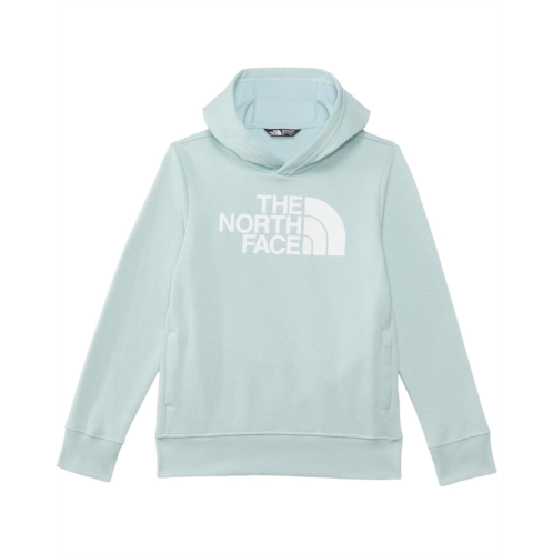 The North Face Kids Teen Half Dome Camp Fleece Pullover Hoodie (Little Kid/Big Kid)