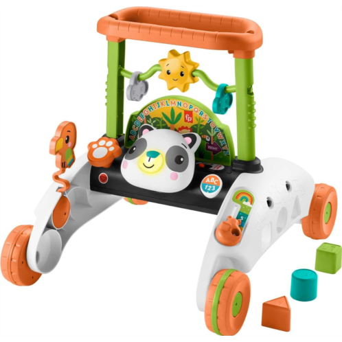 Fisher-Price Baby & Toddler Toy 2-Sided Steady Speed Panda Walker with Smart Stages Learning & Blocks for Ages 6+ Months