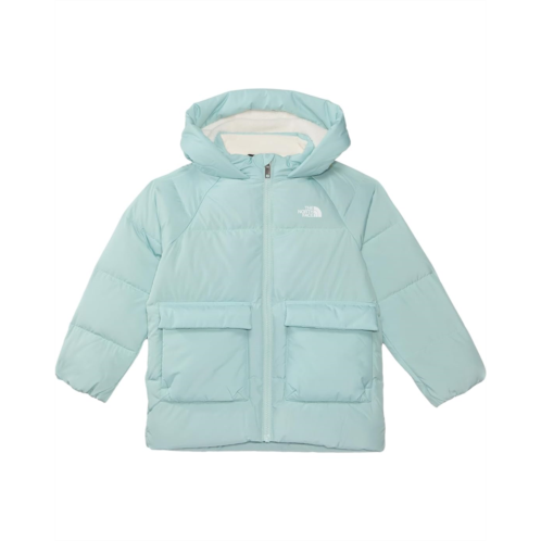 The North Face Kids North Down Fleece-Lined Parka (Toddler)