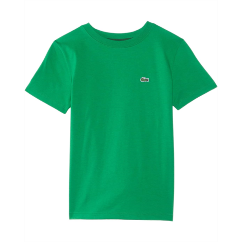 Lacoste Kids Plain Cotton Jersey T-shirt (Big Kid)