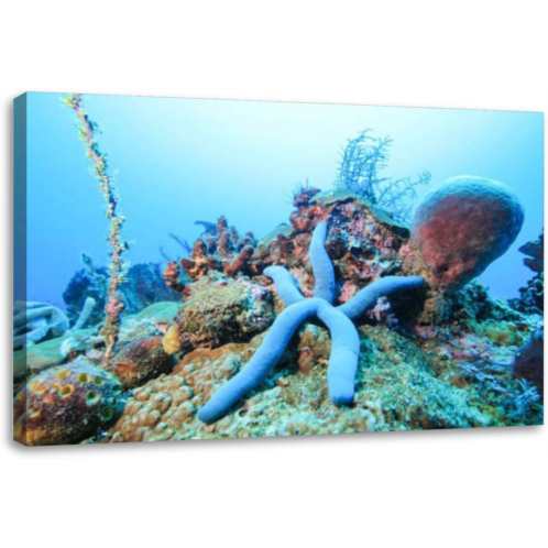 OEPWQIWEPZ Sea Star Ocean Floor Underwater DIY Digital Oil Painting Set Acrylic Oil Painting Arts Craft Paint by Number Kits for Adult Kids Beginner Children Wall Decor