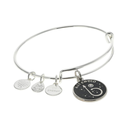 Alex and Ani Harry Potter, Ascendio Spell Charm Bangle