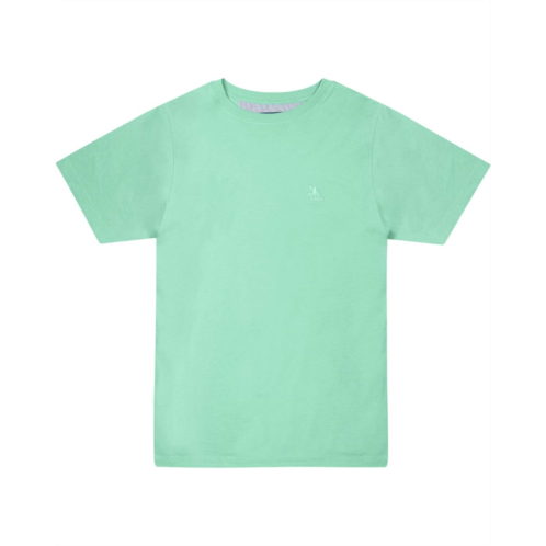 Tom & Teddy Solid Short Sleeve T-Shirt (Little Kids/Big Kids)