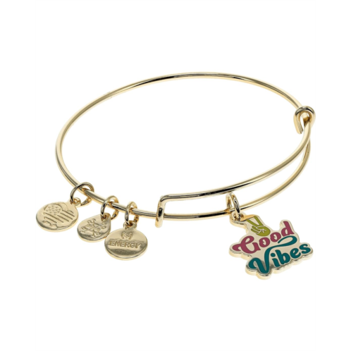 Alex and Ani Color Infusion Good Vibes Bracelet