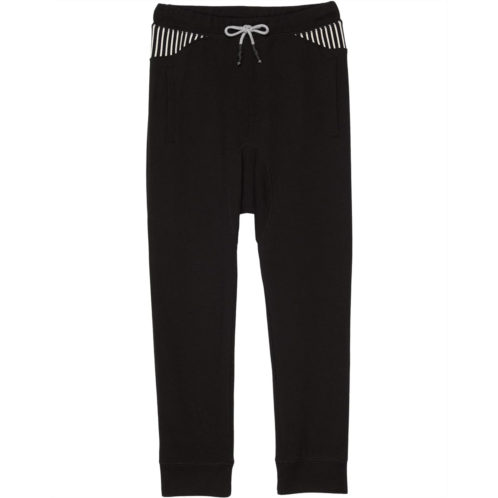 Appaman Kids AJ Sweatpants (Infant/Toddler/Little Kids/Big Kids)