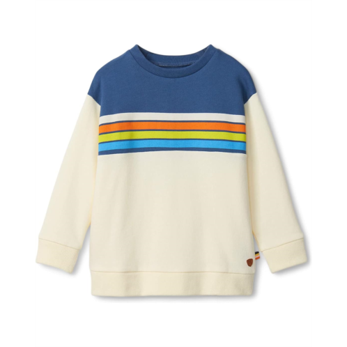 Hatley Kids Dino Stripes Pullover Sweatshirt (Toddler/Little Kids/Big Kids)