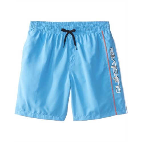 Quiksilver Kids Everyday Vert Volley 15 (Big Kids)